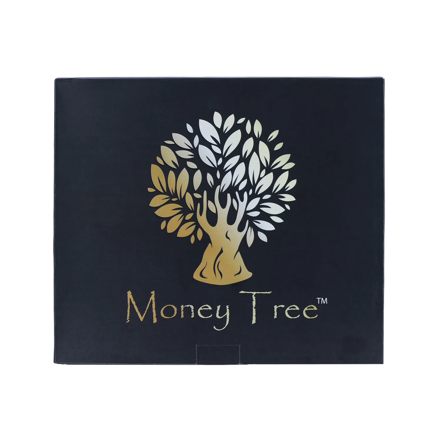 250 Money Tree Cardboard Coin Holder Flips with 10 different size